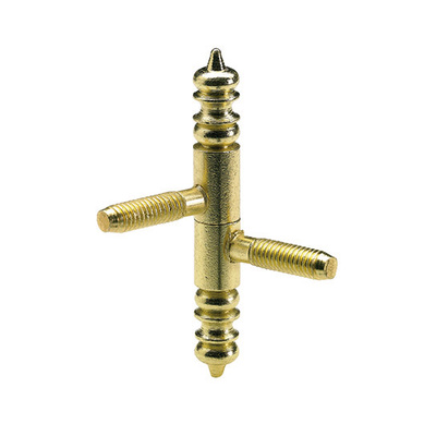 Single pivot hinge, 66 x Ø 9 mm, steel, brass plated